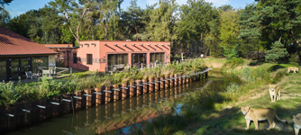 Safari Resort Beekse Bergen -Savanne Groepslodge (leeuw) 14 personen - 7 slaapkamers