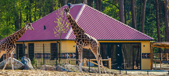Safari Resort Beekse Bergen