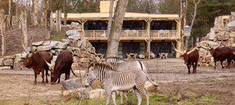 Safari Hotel Beekse Bergen - uitzicht over de dieren